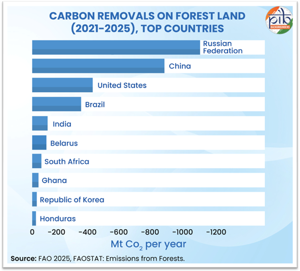 India’s Expanding Green Footprint