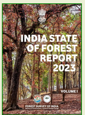 State of Forest Report 2023