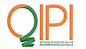 Conférence régionale africaine de la jeunesse sur la PI