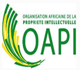 Appel à candidature OAPI