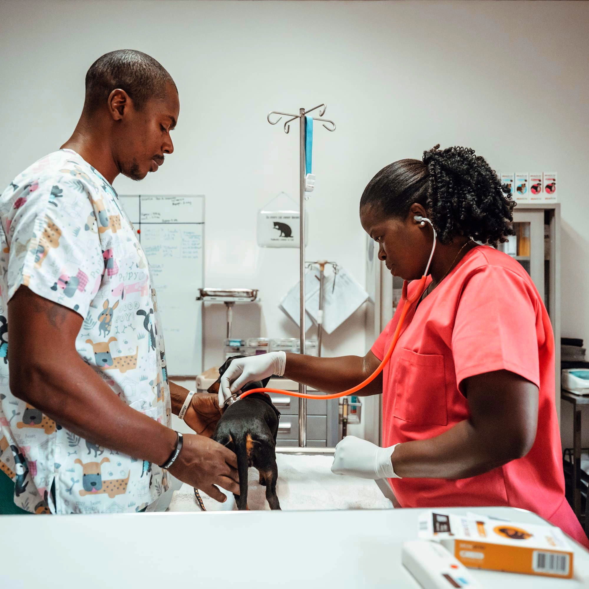 CONSULTAS DE URGÊNCIA