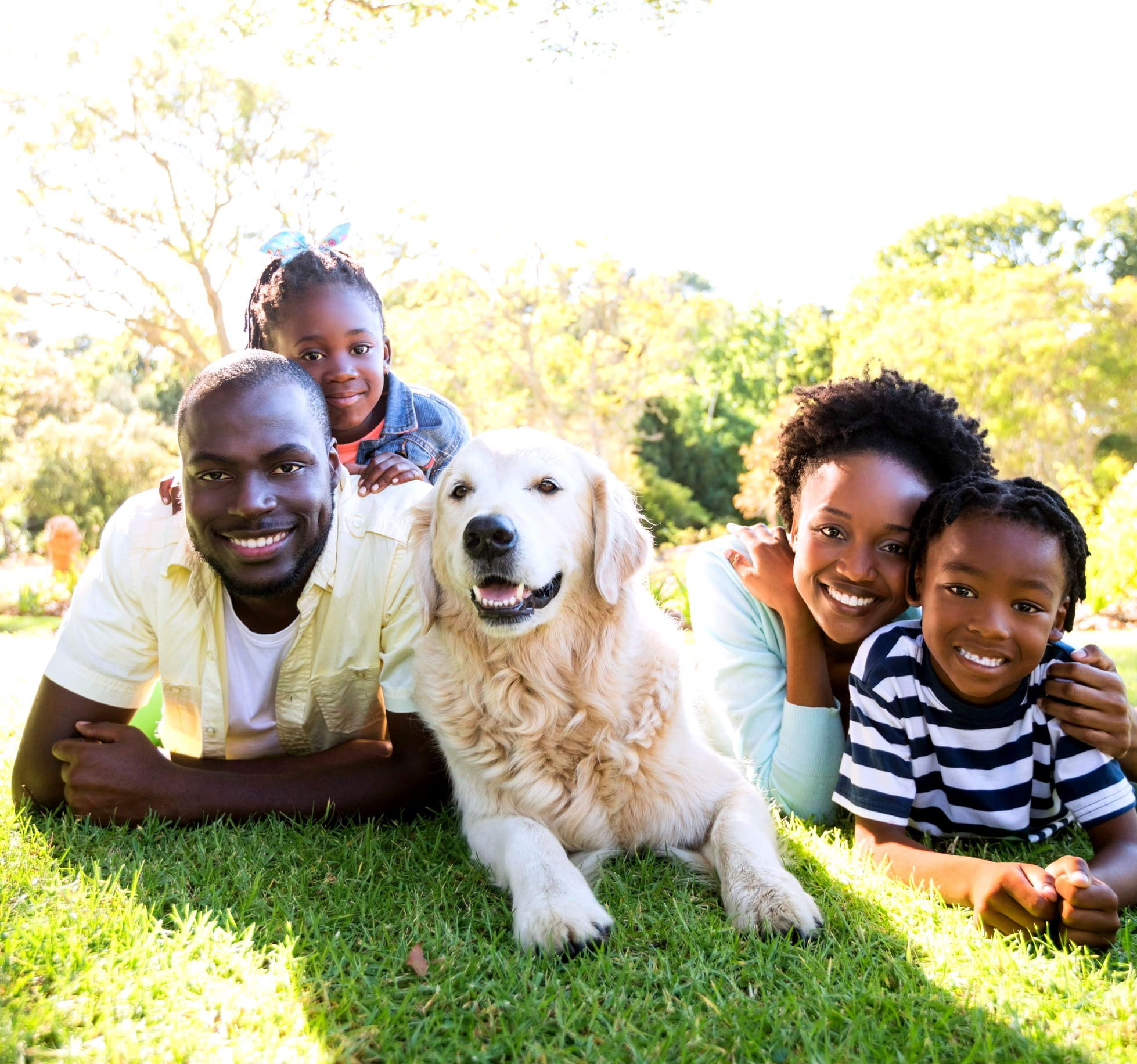 Na nossa clínica buscamos proporcionar o melhor tratamento e cuidado para os seus amados Pets. A nossa Equipe, está pronta para receber cada peludinho com carinho, atenção e expertise. Quando você e seu animal de estimação visitam a VetCare, tornam-se parte de nossa família onde cada animal é tratado como único e especial.