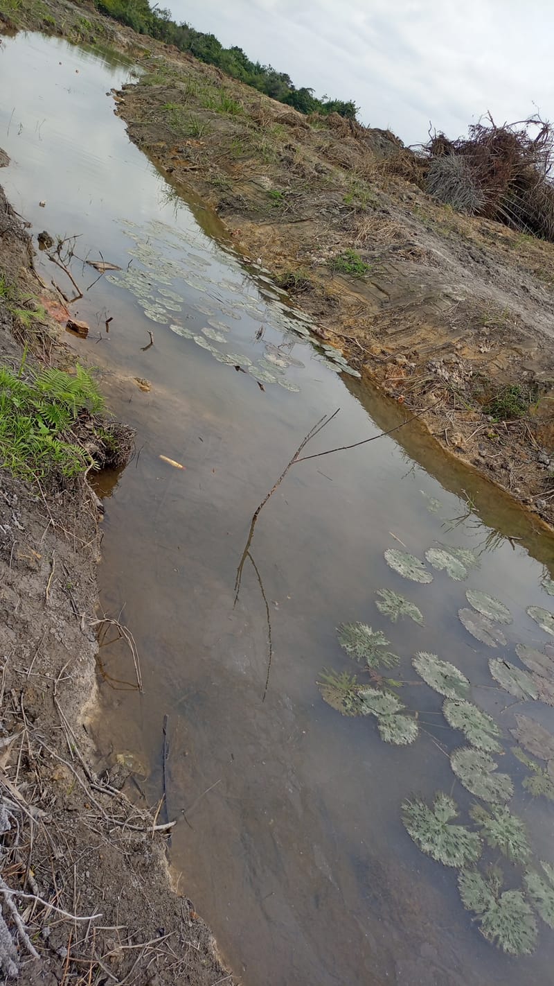 Due diligence environnementale et sociale