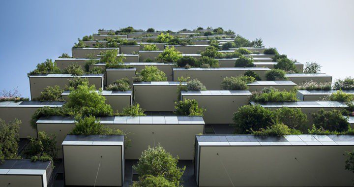Regenerative Design: Creating Architecture That Heals Our Planet