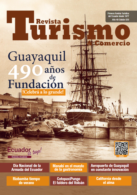 EDICIÓN #528