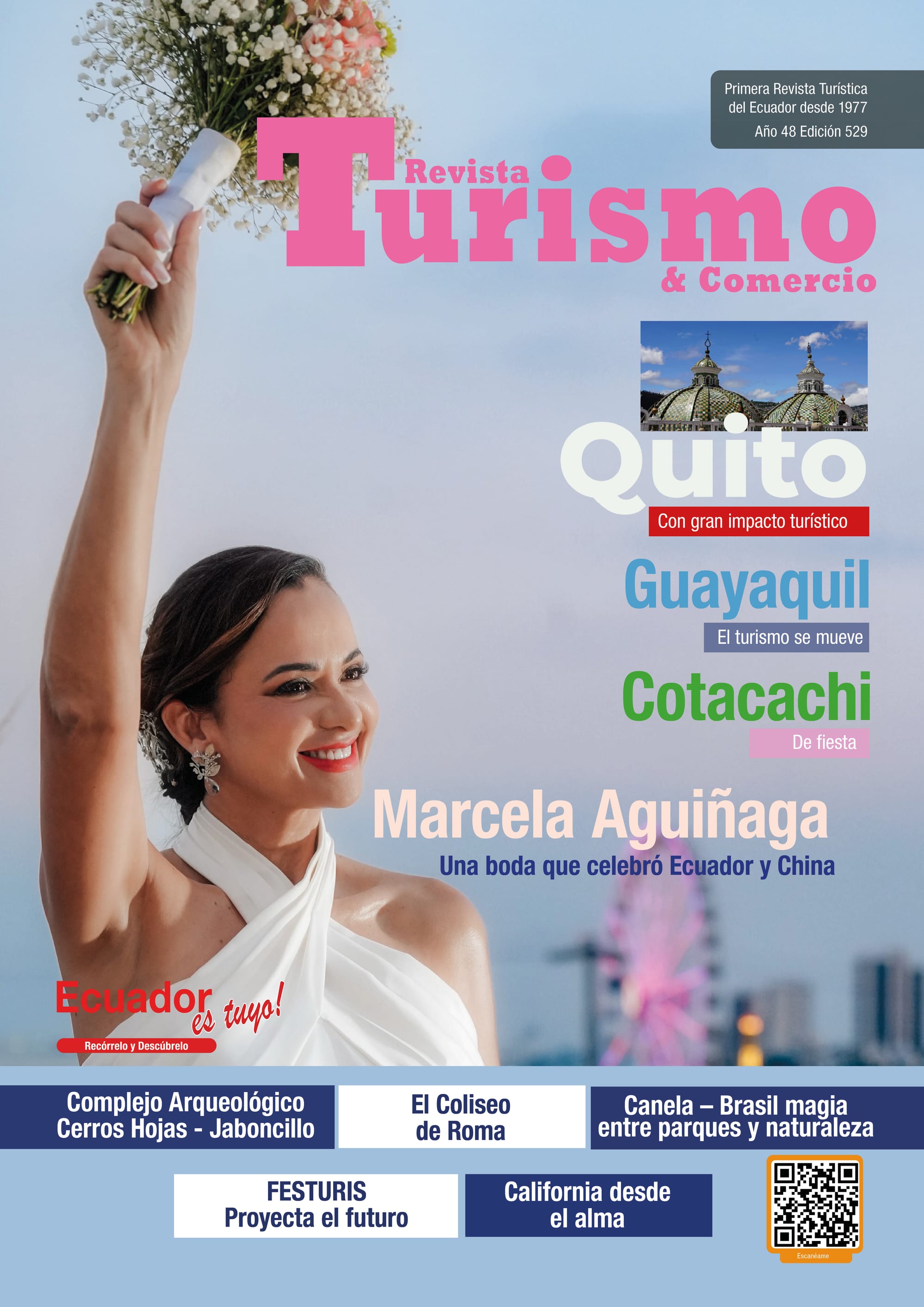 EDICIÓN #529