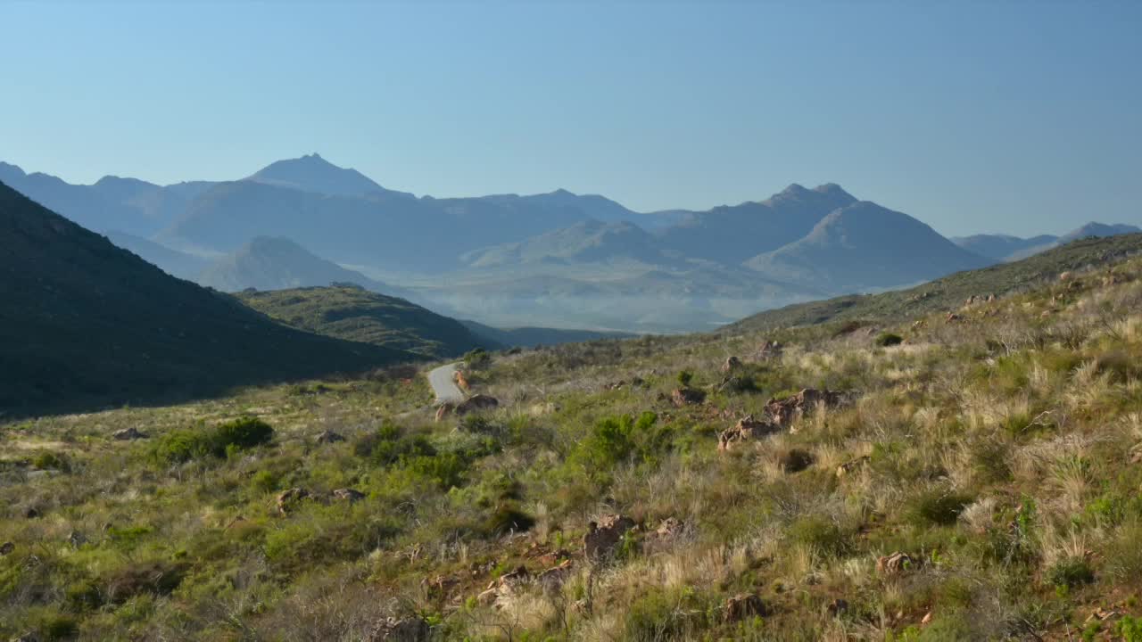 Highlights thumbnail