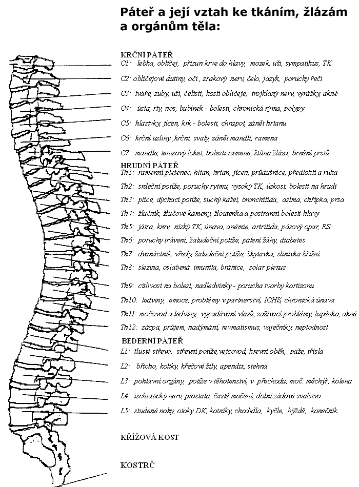 Dornova Metoda - Fyzioterapie