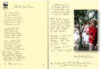 La foresta urbana di Lecce