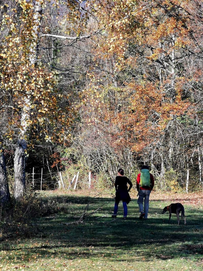 L’équilibre fragile entre deux histoires : Trouver sa juste place dans une nouvelle famille
