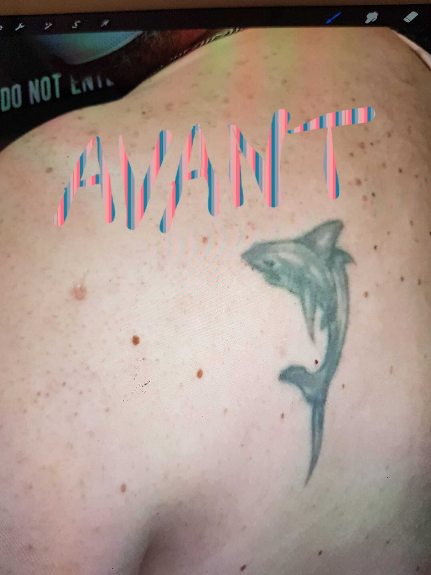 AVANT COVER
