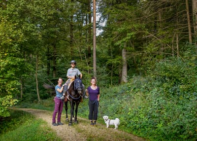 UTA MAURER Physiotherapie • Craniosacral Therapie Hippotherapie