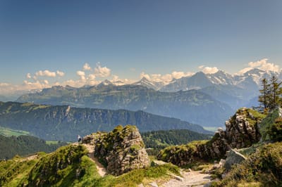 Szymon Mocny - Doradca Finansowy i Ubezpieczeniowy