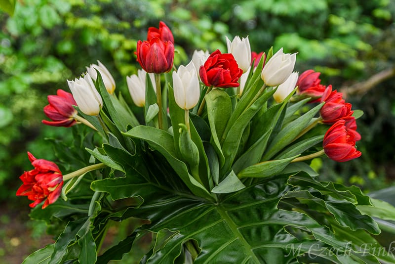 Ambasada w Bernie 5.05.2024 spotkanie pani Ambasador z Polonią