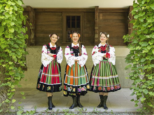 Grupa  LASOWIACY Polonijny Zespół Tańca 