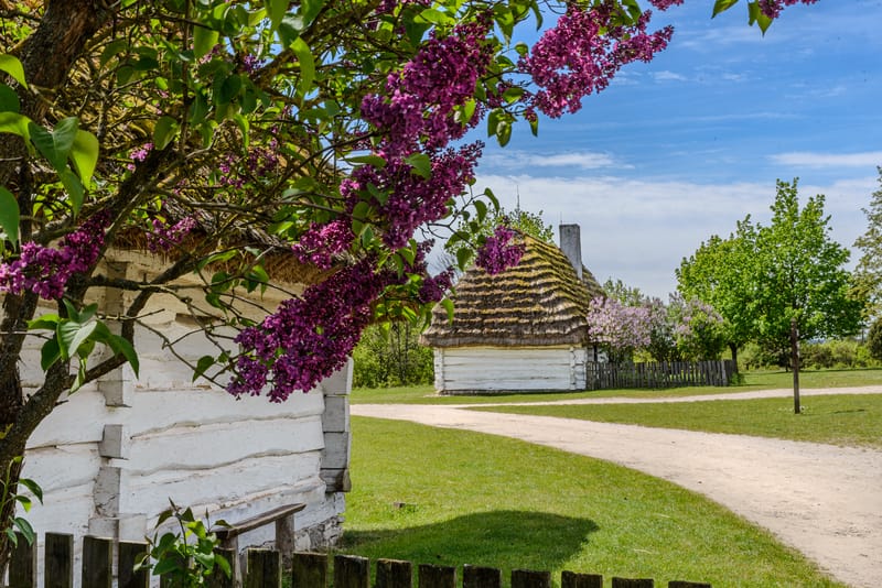 Park Etnograficzny w Tokarni.