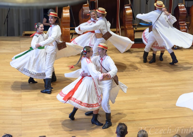 Występ Grupy  LASOWIACY Polonijny Zespół Tańca w dniu 30.09.2024 w Basel.