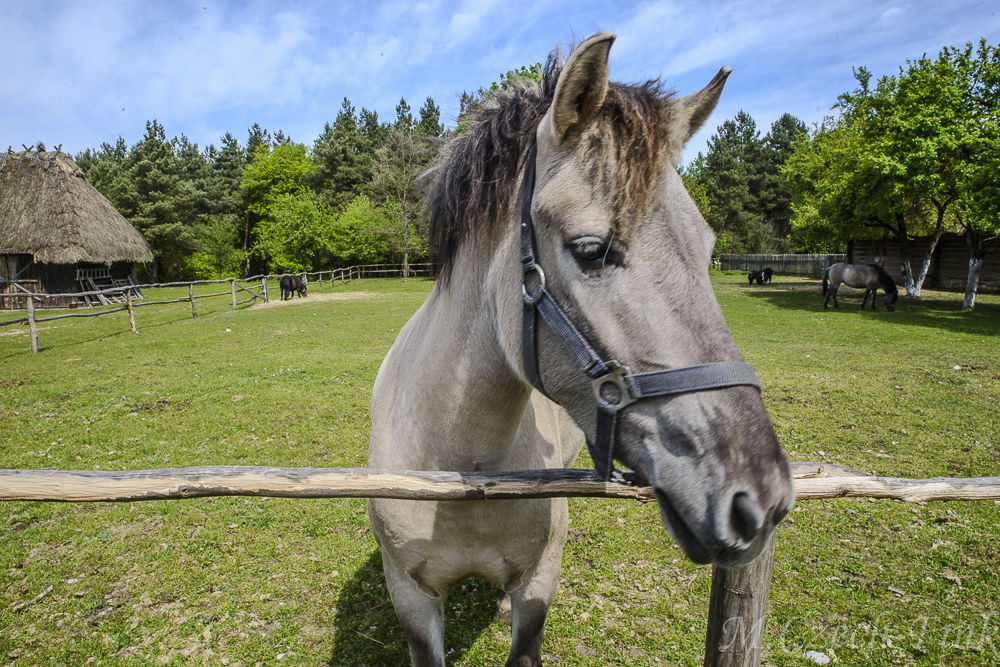 Ethnographischer Park in Tokarnia.