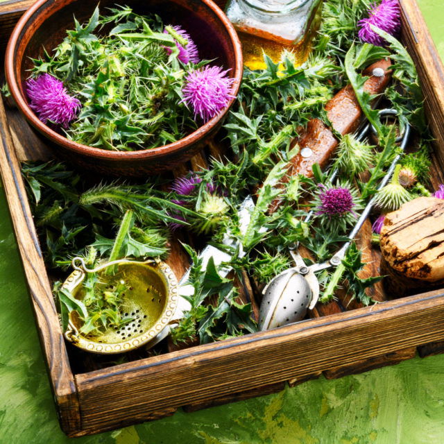 Slow- und Soulfood Festival im Kurpark