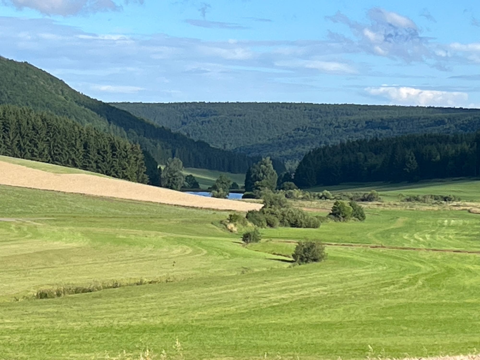 Der Öfinger See, eingebettet zwischen den Wäldern