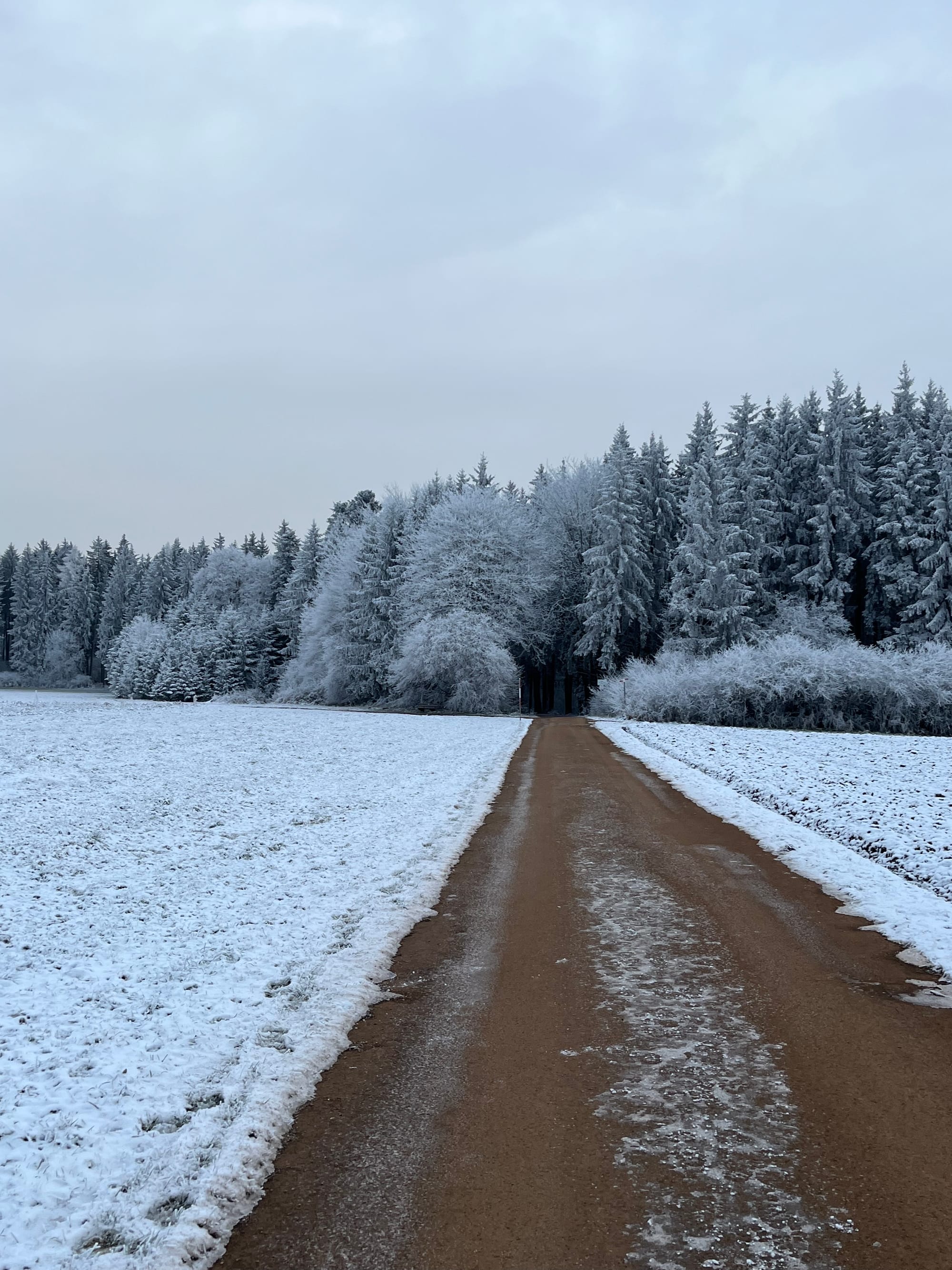 Wenn der erste Schnee die Erde nur leicht berührt, aufgenommen im Winter 2024/2025