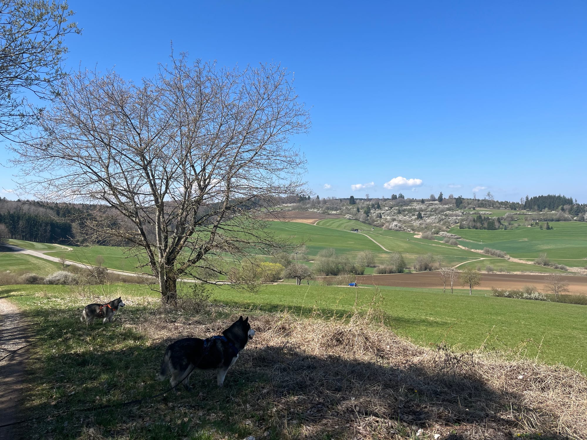 Wandern im Schwarzwald