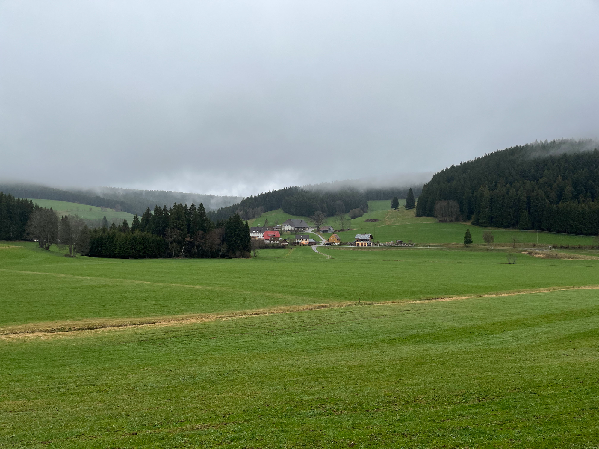 Ausflugsziele im Schwarzwald bei Regen