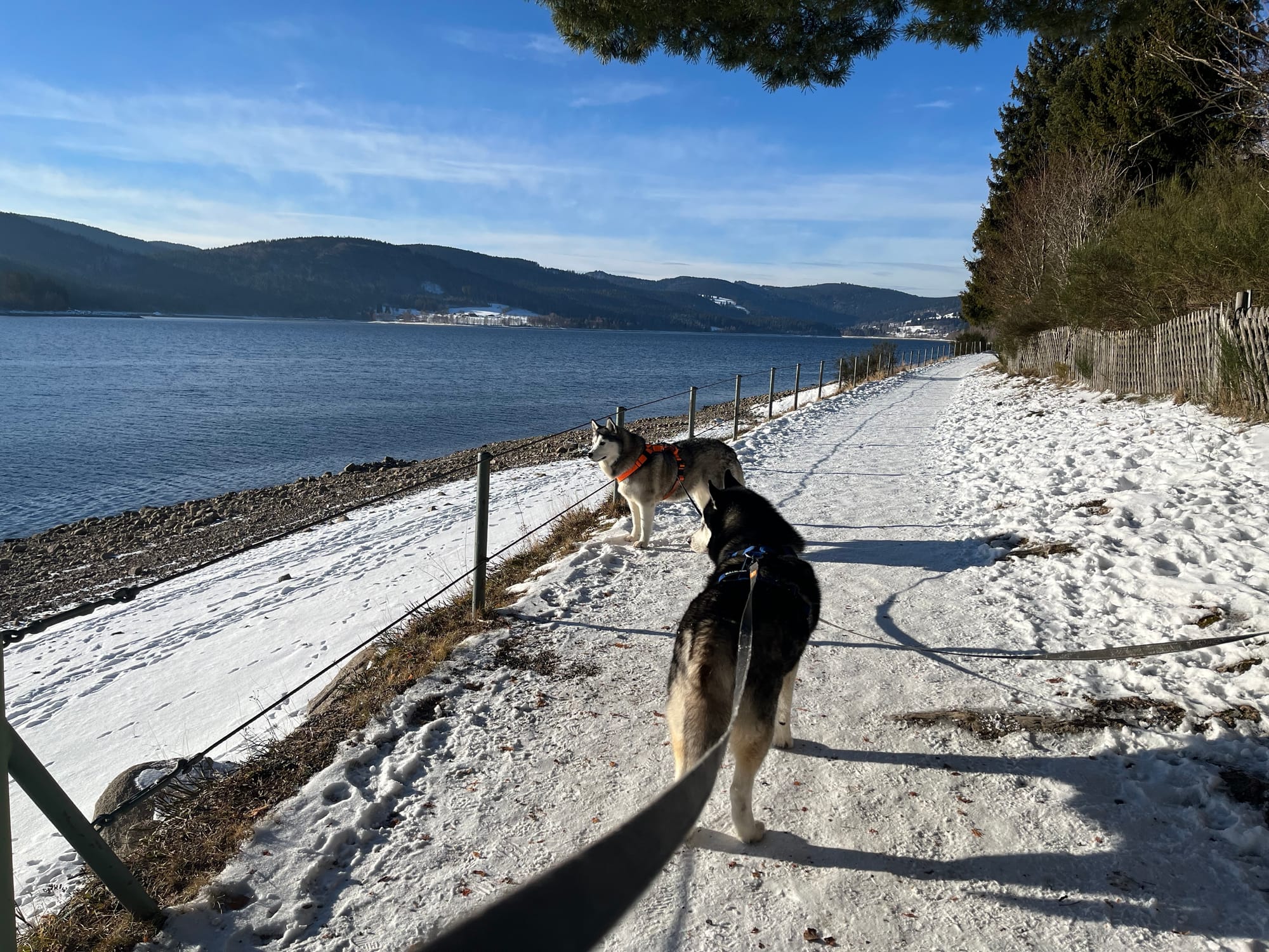 Winterlicher Schluchsee im Schwarzwald