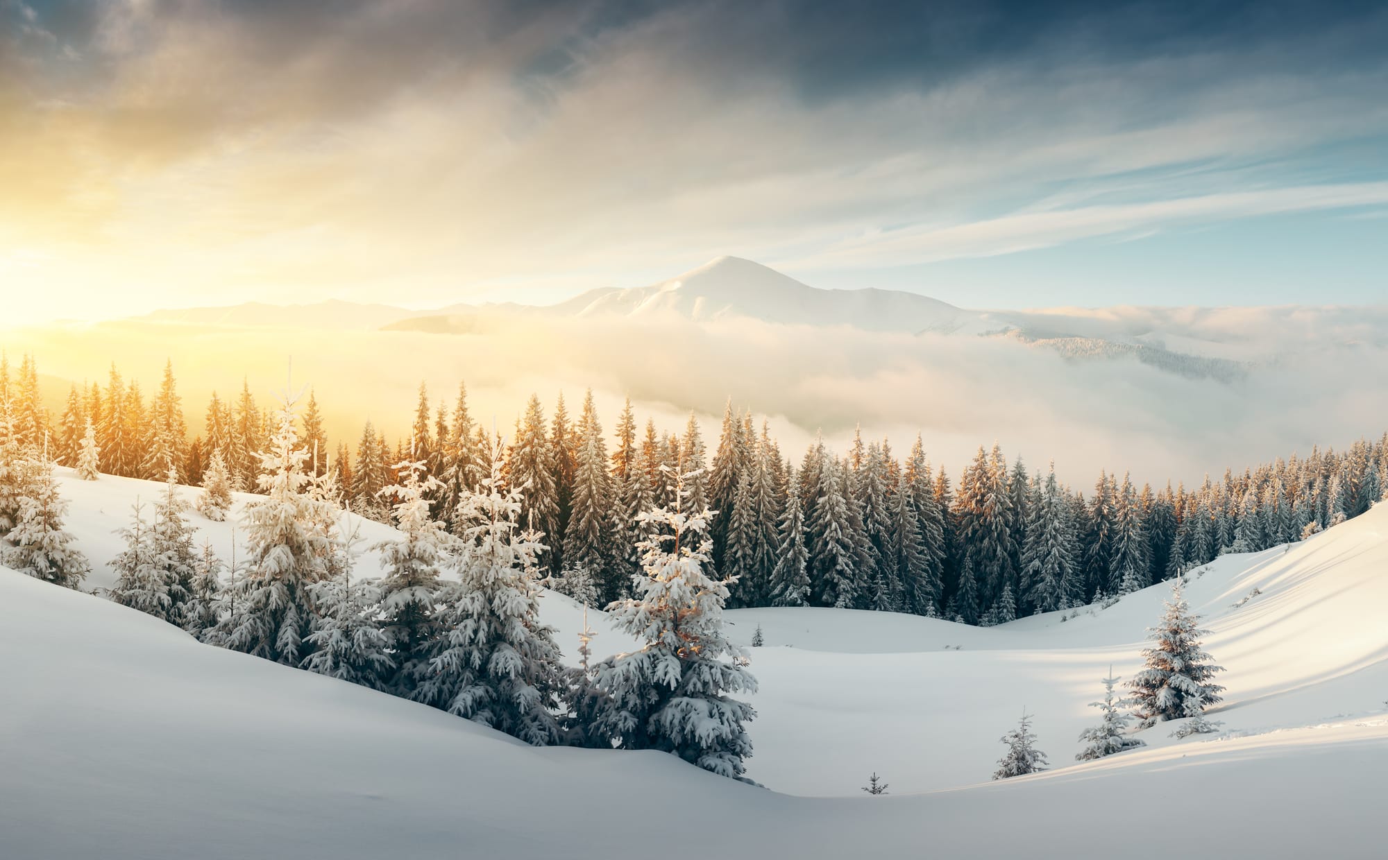 Ein Winter im Schwarzwald ...