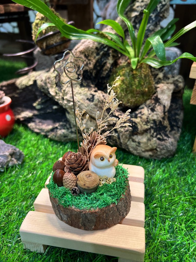 種子名片夾