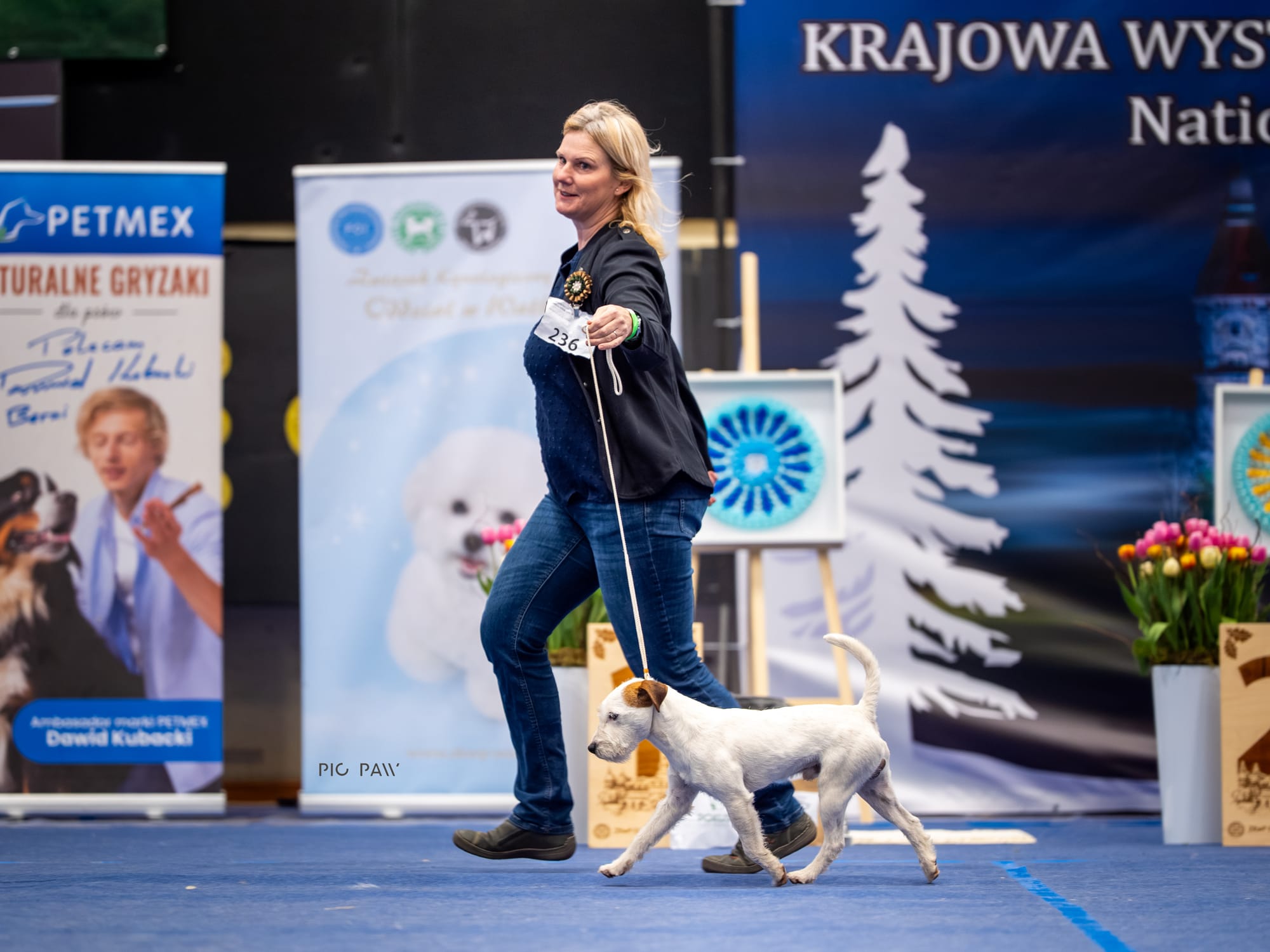 Exhibitions and Nesquik