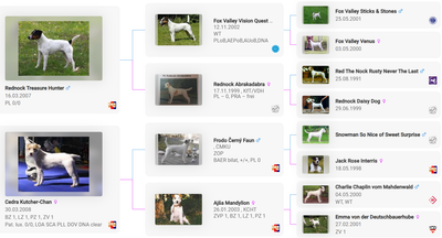 Vrh / Litter D (3. 7. 2010)