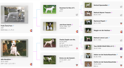 Vrh / Litter C (30. 3. 2008)