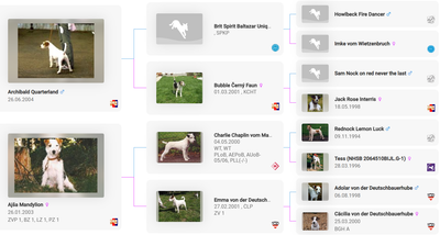 Vrh / Litter B (21. 4. 2007)