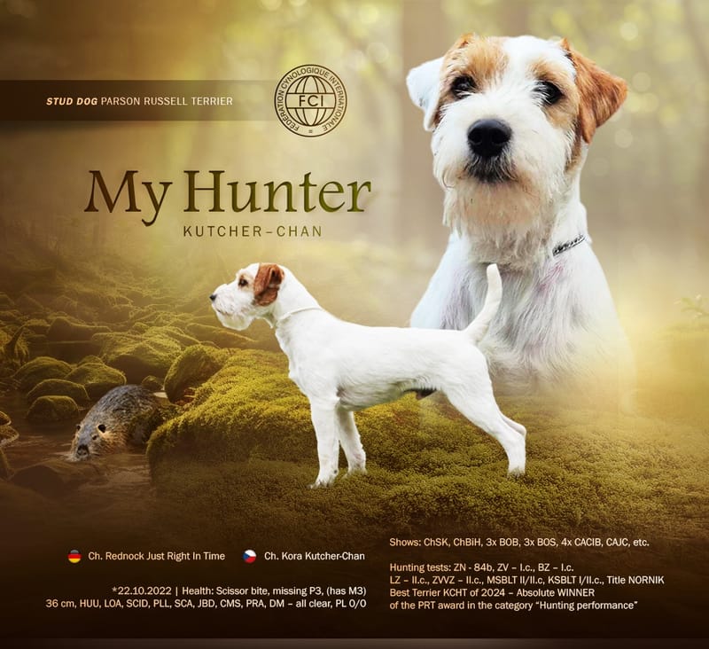 My Hunter Kutcher-Chan