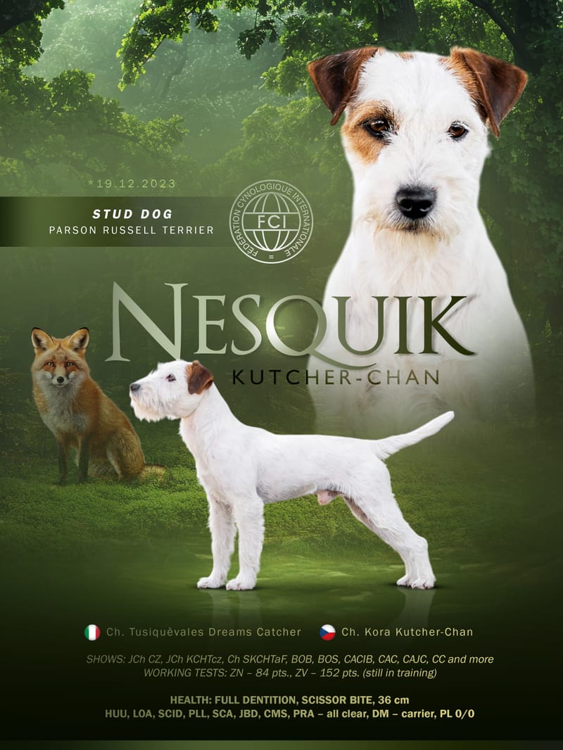 Ch. Nesquik Kutcher-Chan