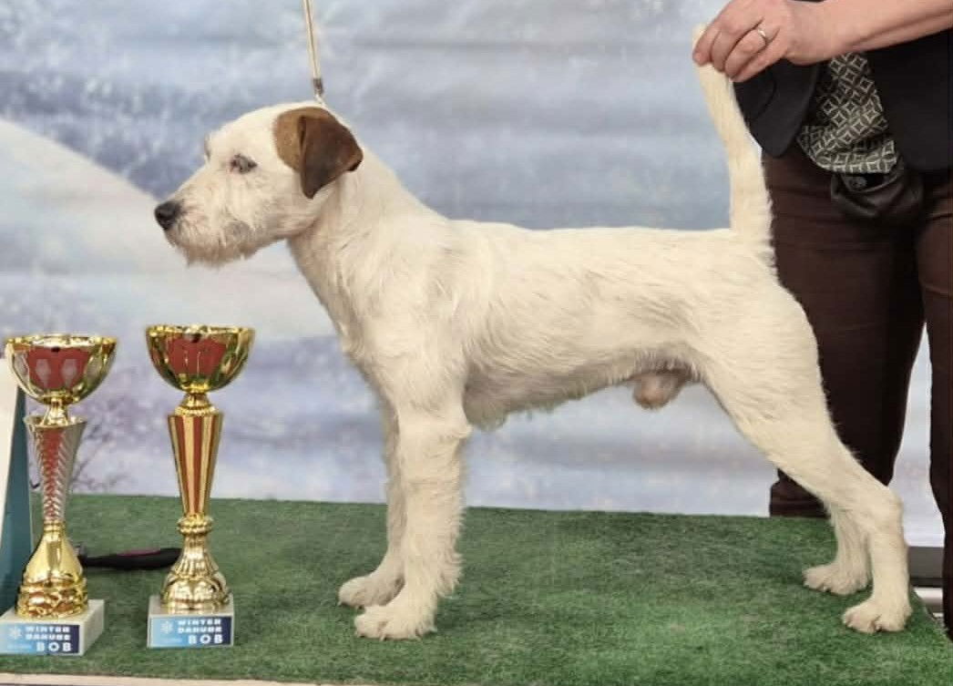 Nesquik 2x IDS Bratislava - 2 x BOB