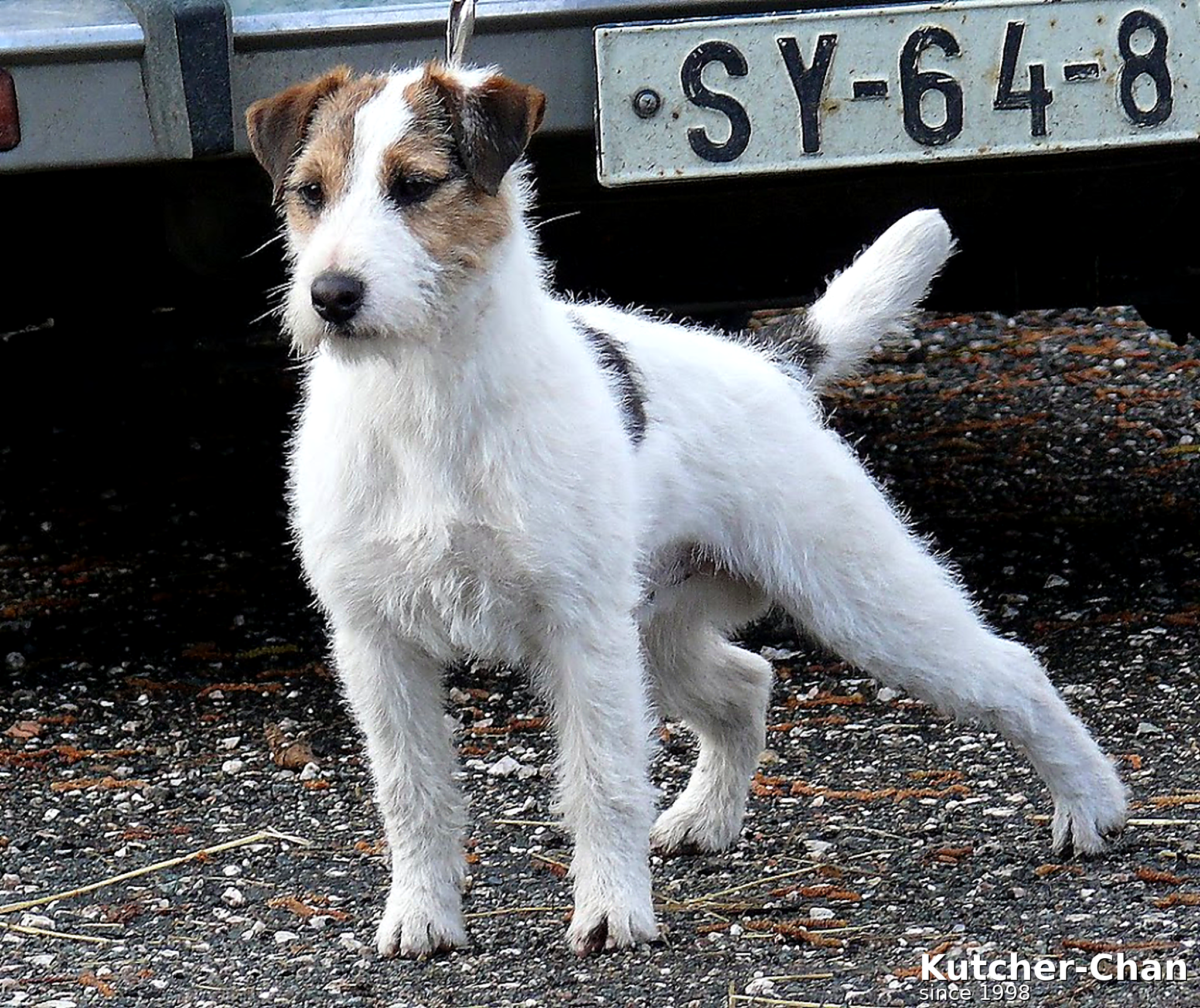 ICh. BERYL Kutcher-Chan