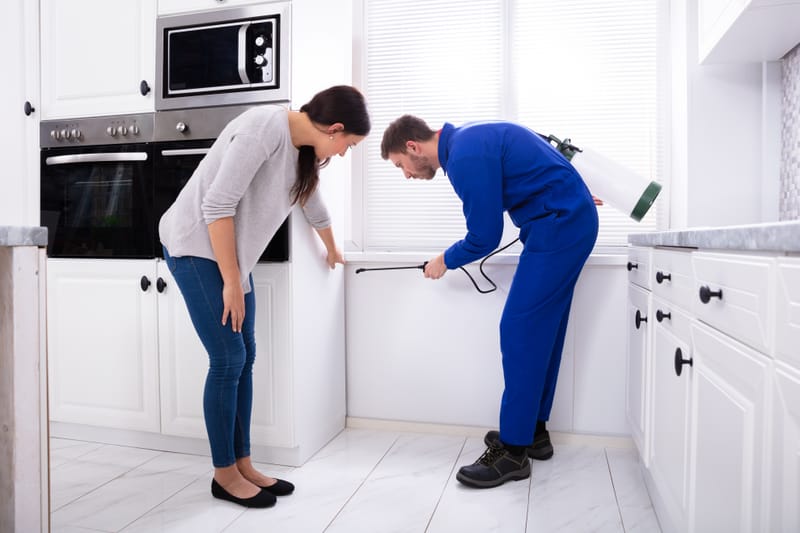 خدمة رش الحشرات الداخلية