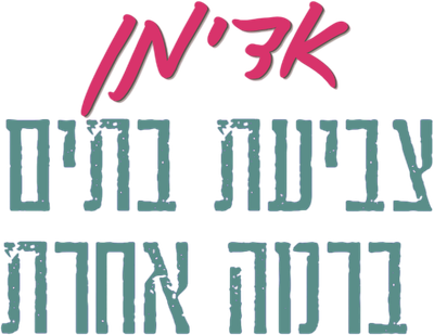 אדימן - צביעת בתים ברמה אחרת