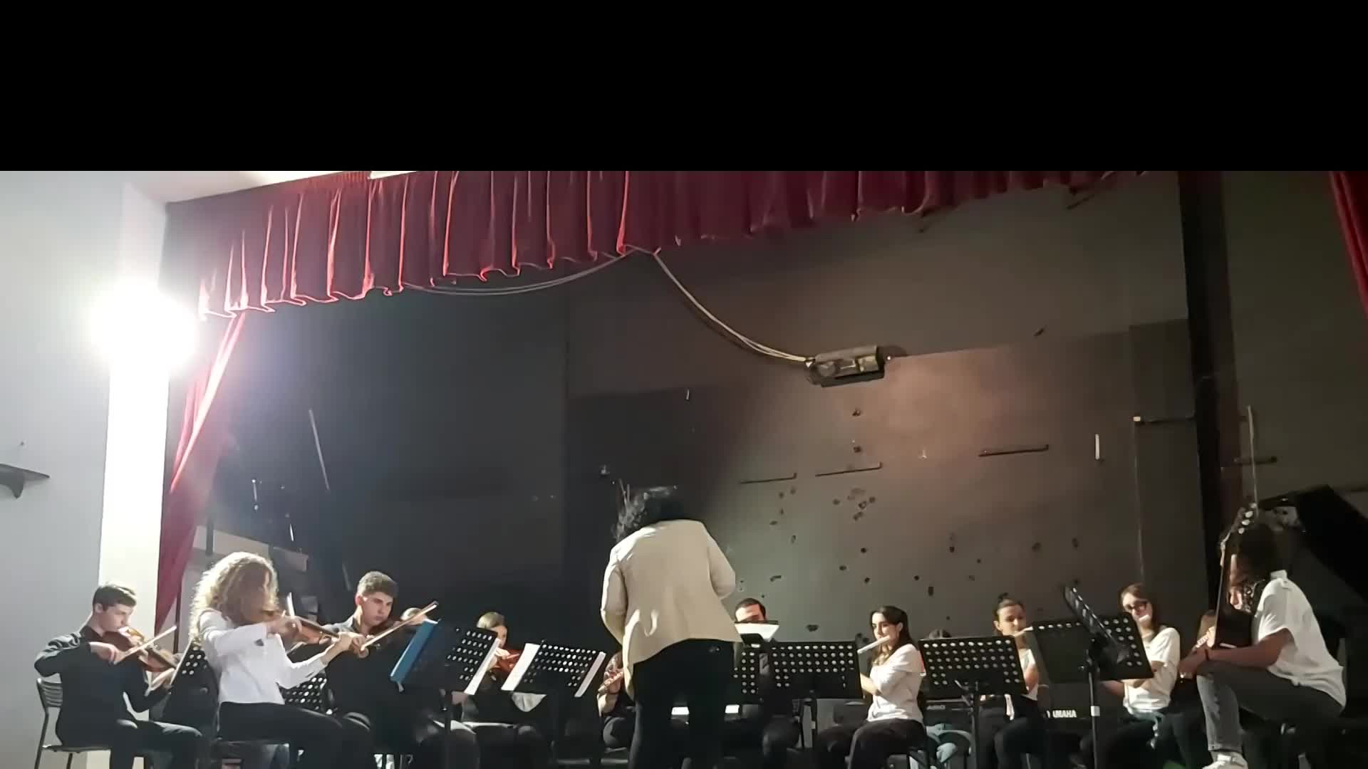 Palladio -parte 1 (25/5/2024)