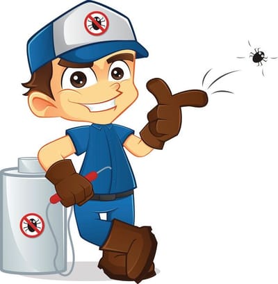 أفضل مبيد حشري للقضاء على البق: شركة مكافحة حشرات