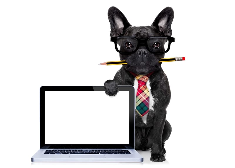 Content Writing