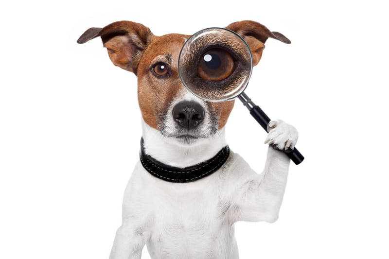Research &amp; Analytics