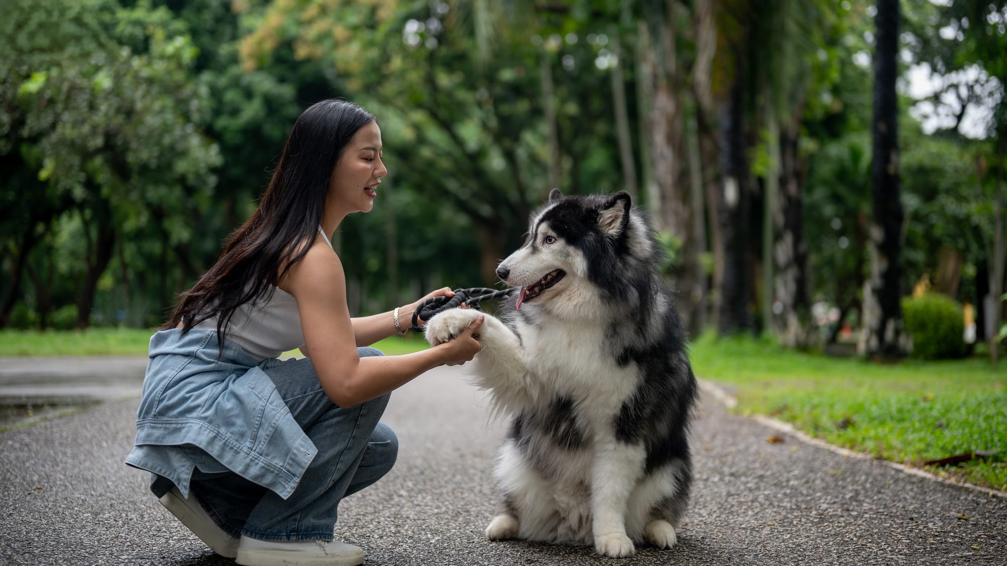 Πόσο Κοστίζει Pet Sitter στην Αθήνα; Τιμές και Τι να Υπολογίσεις