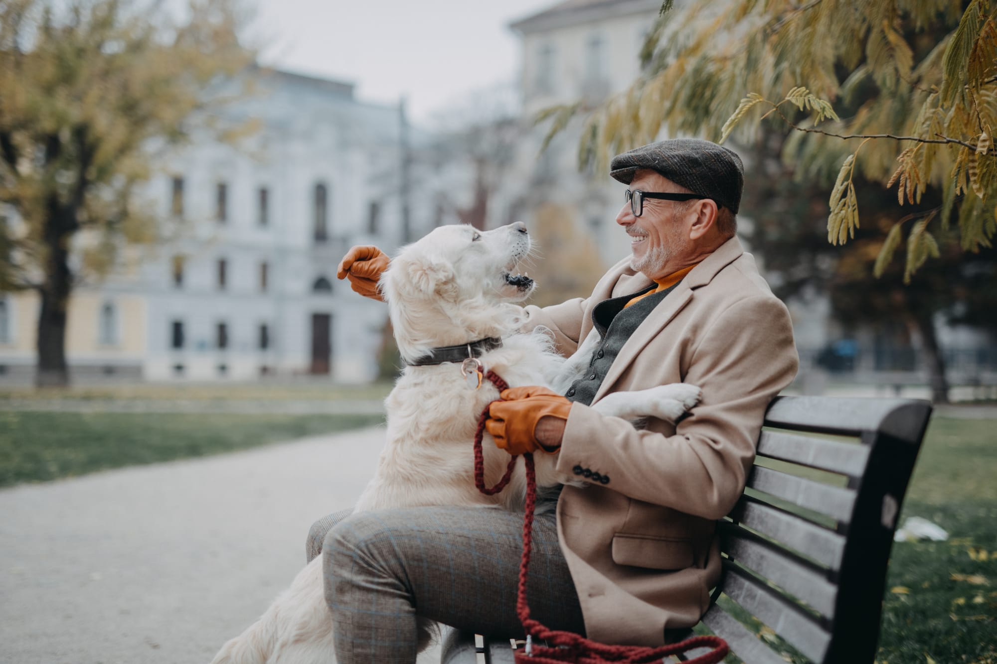 Pet Sitter Θεσσαλονίκη: Πώς να Βρεις Αξιόπιστη Φύλαξη Κατοικίδιων