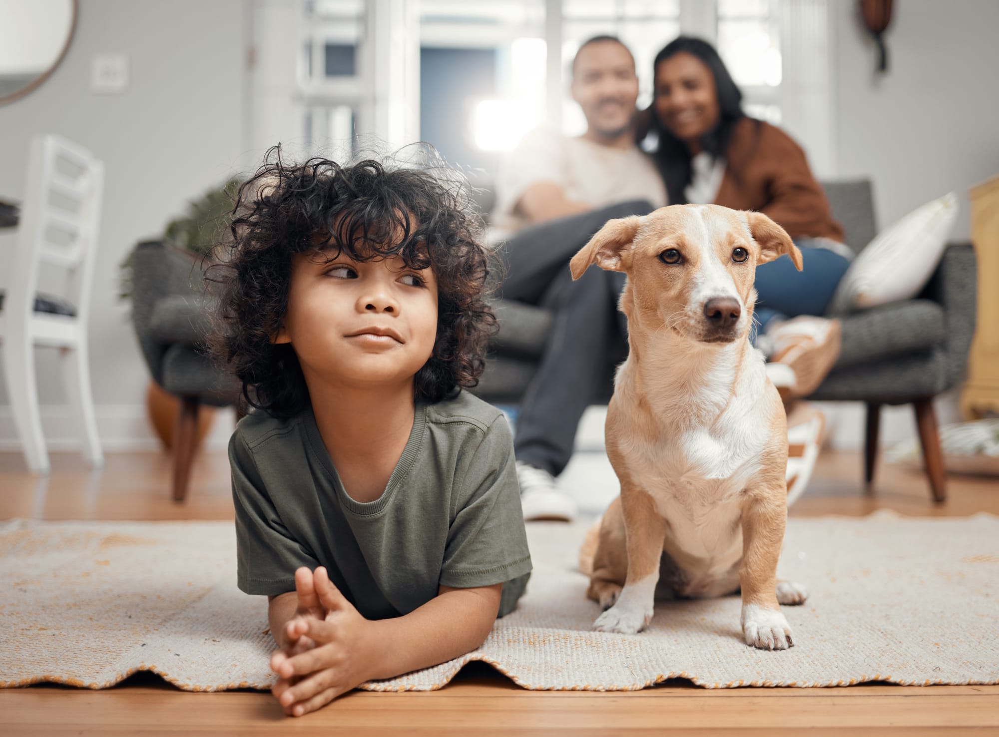 Pet Sitter Θεσσαλονίκη Τελευταία Στιγμή: Πώς να Βρεις Διαθέσιμο Pet Sitter