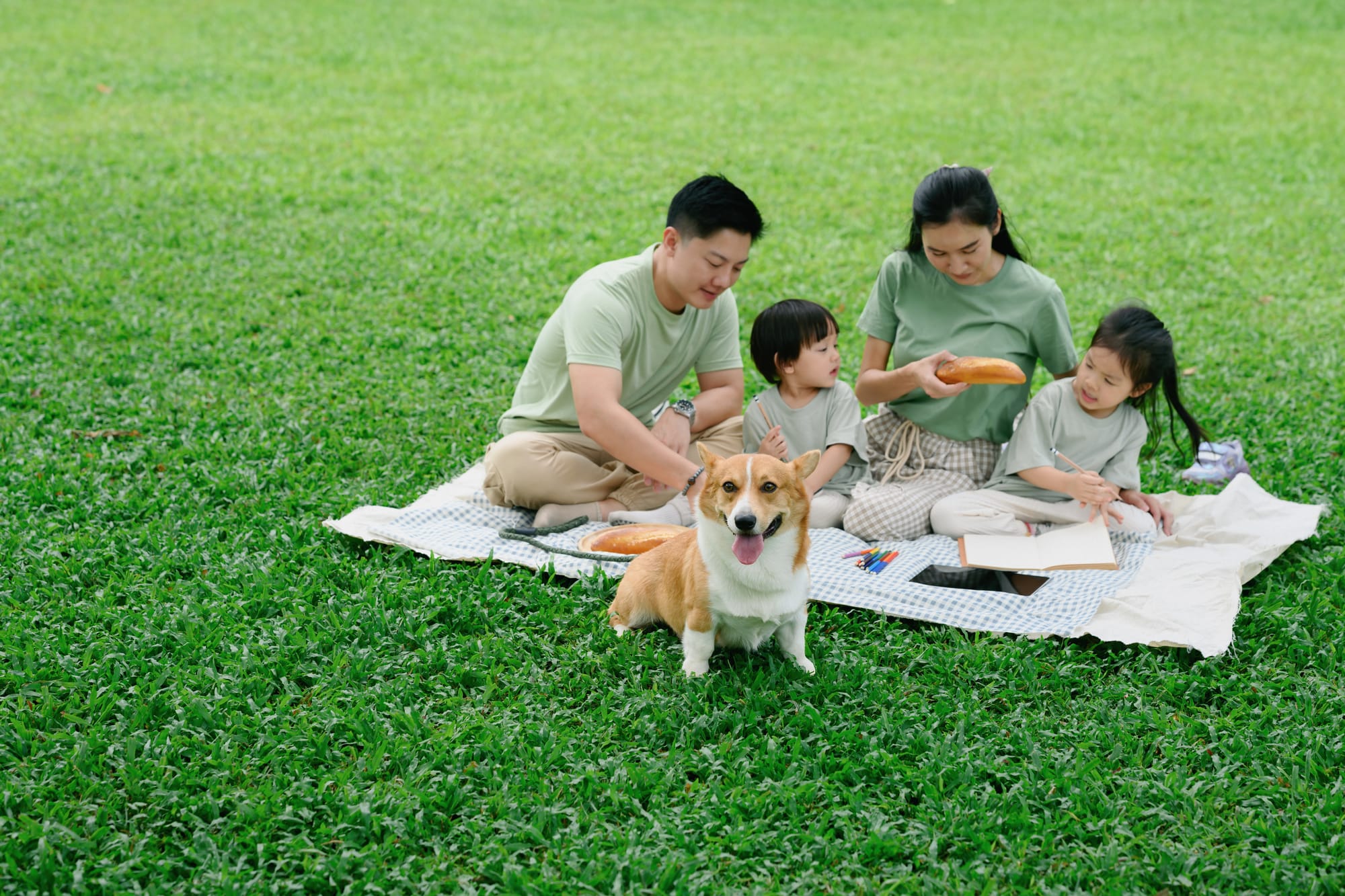 Pet Sitter Θεσσαλονίκη για Εργαζόμενους: Φροντίδα Κατοικίδιου Όσο Είσαι στη Δουλειά