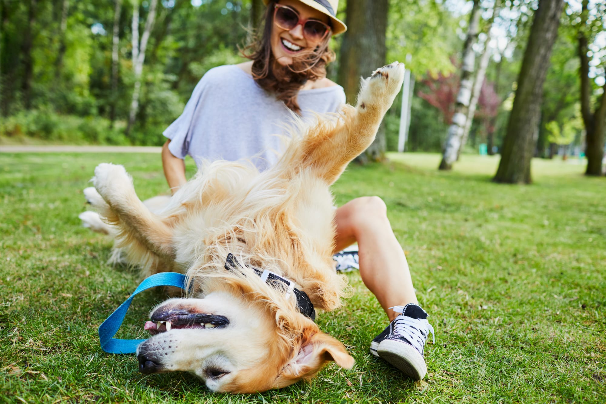 Pet Sitter Καλαμαριά: Βρες Φροντίδα για Σκύλο ή Γάτα