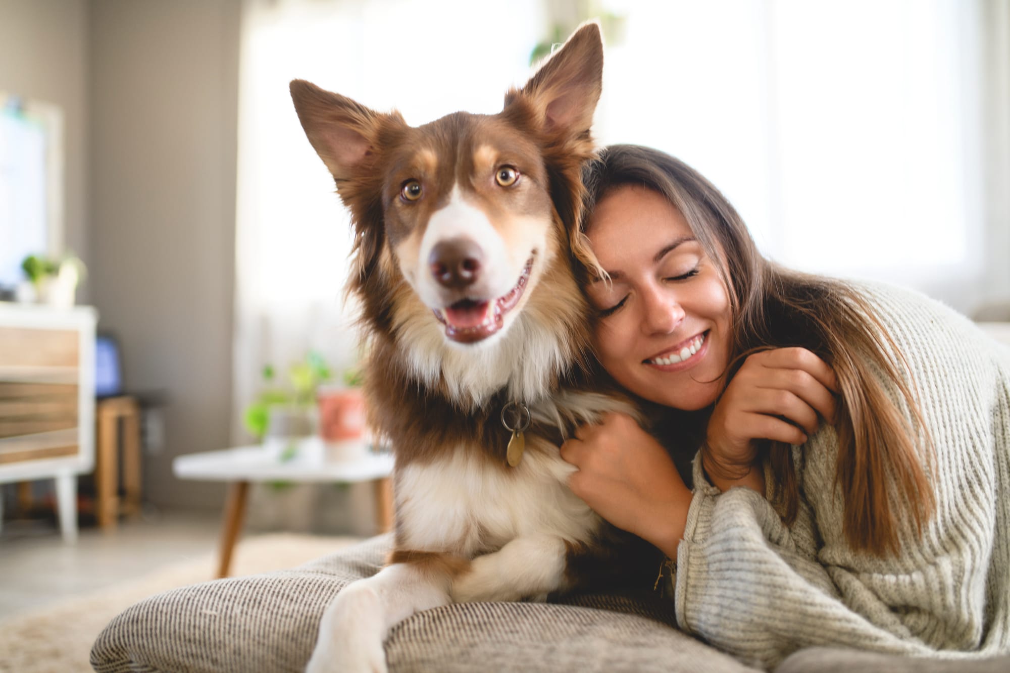 Pet Sitter Τούμπα: Βρες Φροντίδα για Σκύλο ή Γάτα